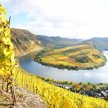 Hotel Bertricher Hof Garni Bad Bertrich