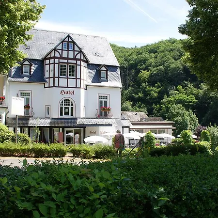 Hotel Bertricher Hof Garni 3*