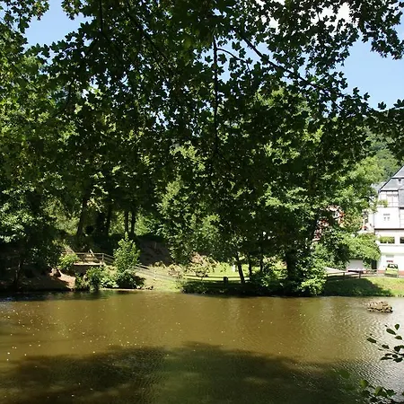 Hotel Bertricher Hof Garni Bad Bertrich