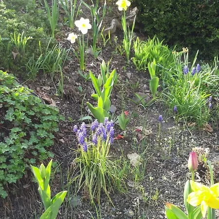 Hotel Bertricher Hof Garni