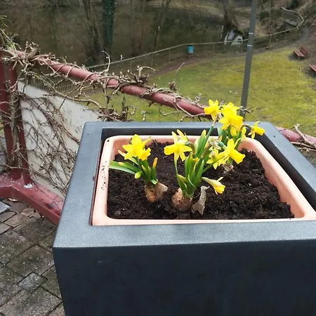Bertricher Hof Garni 3* Bad Bertrich
