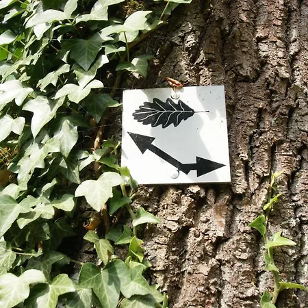 Bertricher Hof Garni 3*