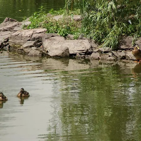 Bertricher Hof Garni 3* Bad Bertrich