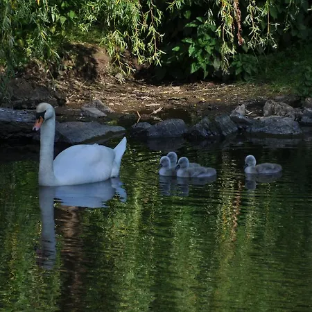 Hotel Bertricher Hof Garni