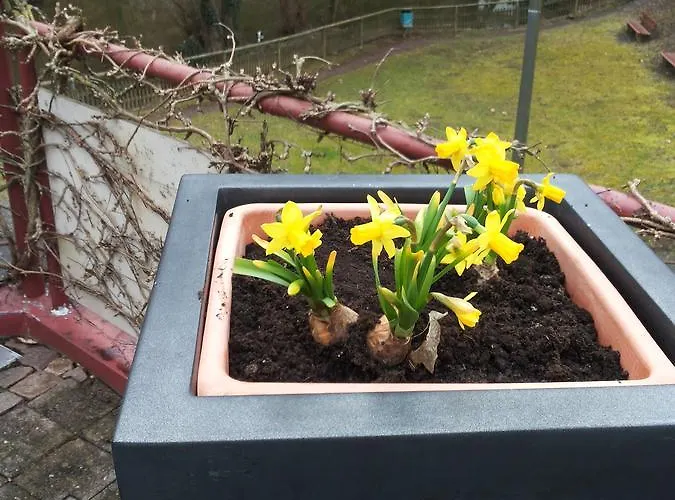 Bertricher Hof Garni 3* Bad Bertrich