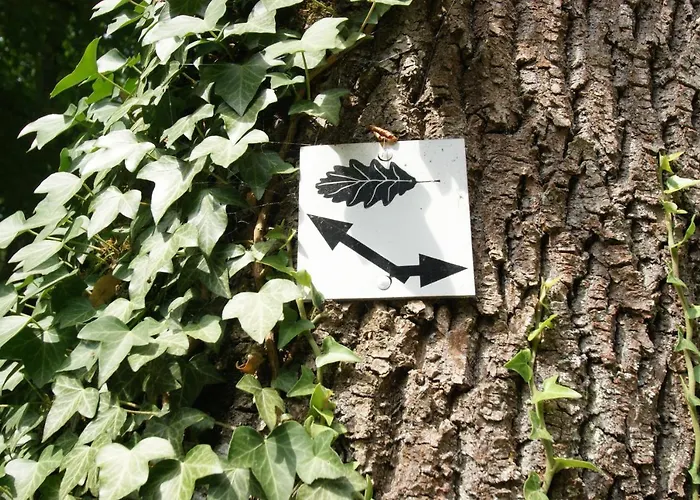 Bertricher Hof Garni 3*