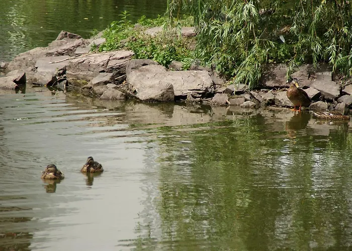 Bertricher Hof Garni 3* 바트베르트리흐