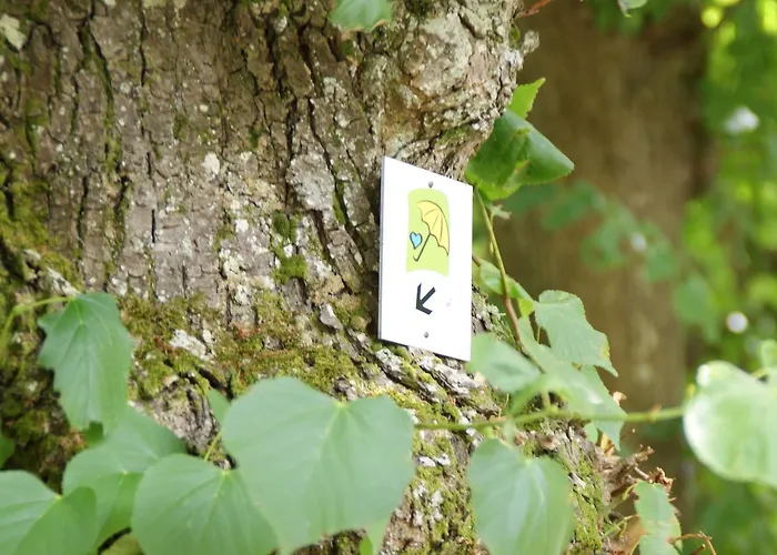 Bertricher Hof Garni 호텔 3*