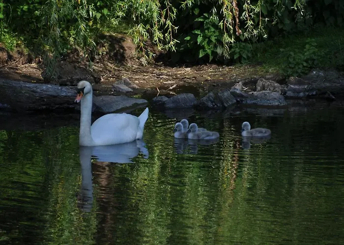 Szálloda Bertricher Hof Garni
